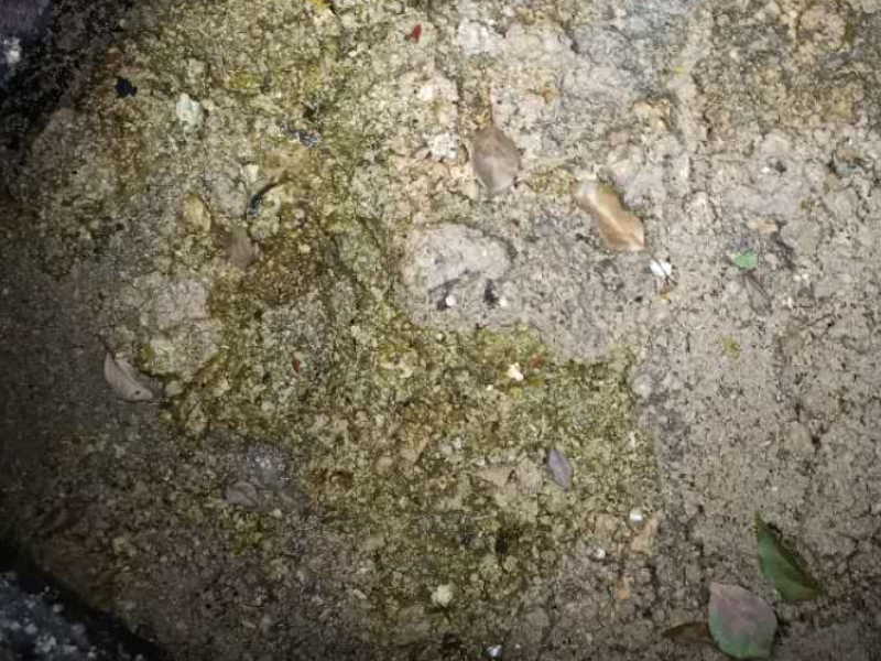 滨海新区化粪池清理……专业管道疏通 抽粪