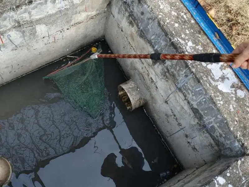 天津滨海新区高压清洗哪家好